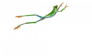 Leapfrog Digital Business Solutions